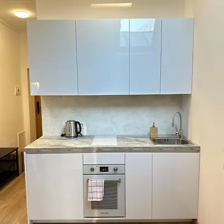 Apartment Feel Comfy Druskininkai